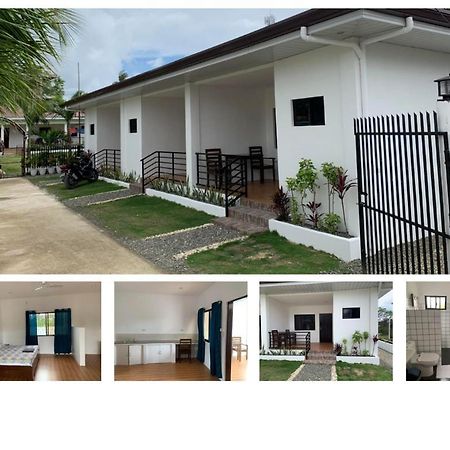 Palm Tree Lodge 莫阿尔博阿 外观 照片