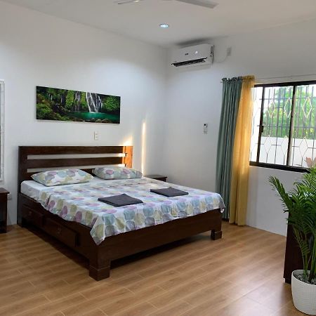 Palm Tree Lodge 莫阿尔博阿 外观 照片