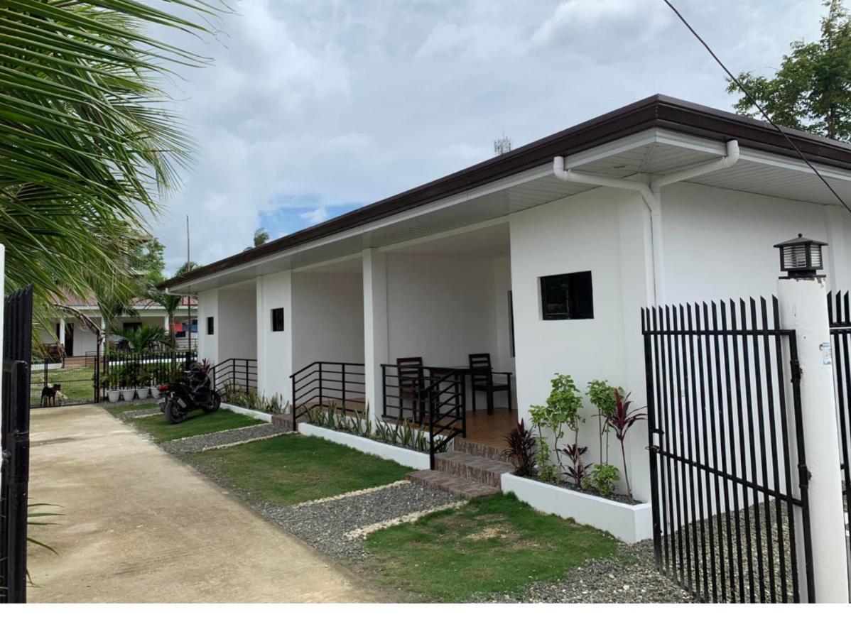 Palm Tree Lodge 莫阿尔博阿 外观 照片