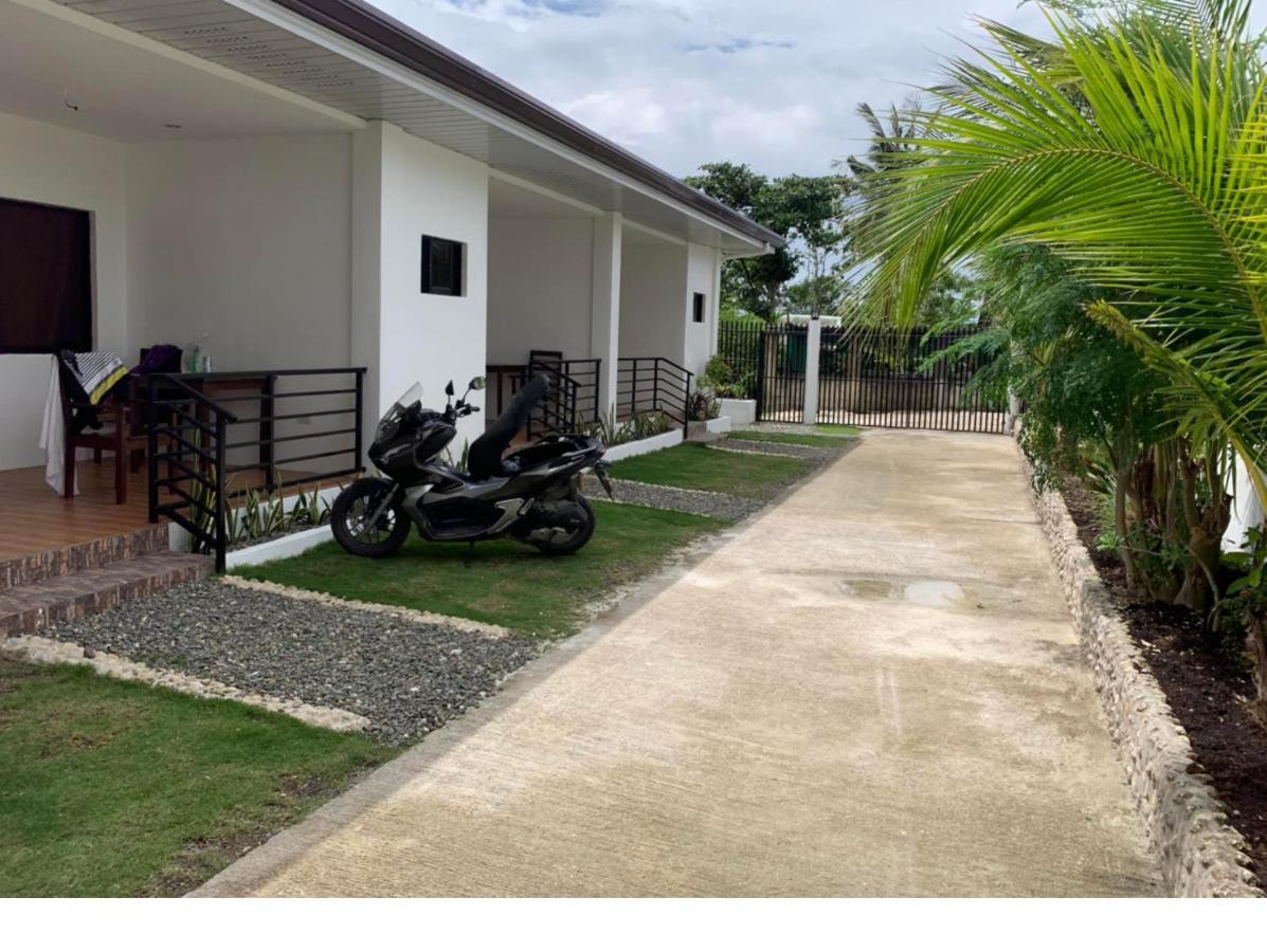 Palm Tree Lodge 莫阿尔博阿 外观 照片