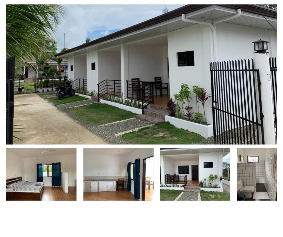 Palm Tree Lodge 莫阿尔博阿 外观 照片