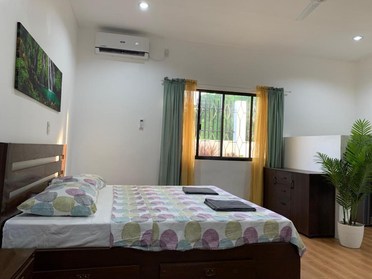 Palm Tree Lodge 莫阿尔博阿 外观 照片